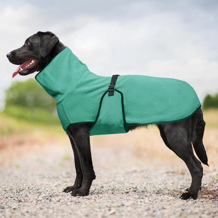 Cozy Thermal Dog Coat 0