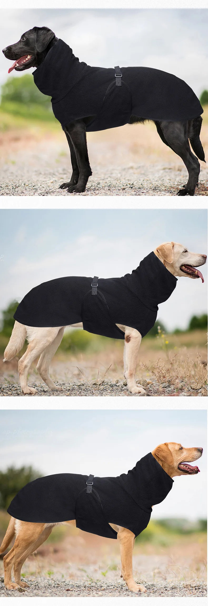 Cozy Thermal Dog Coat 5