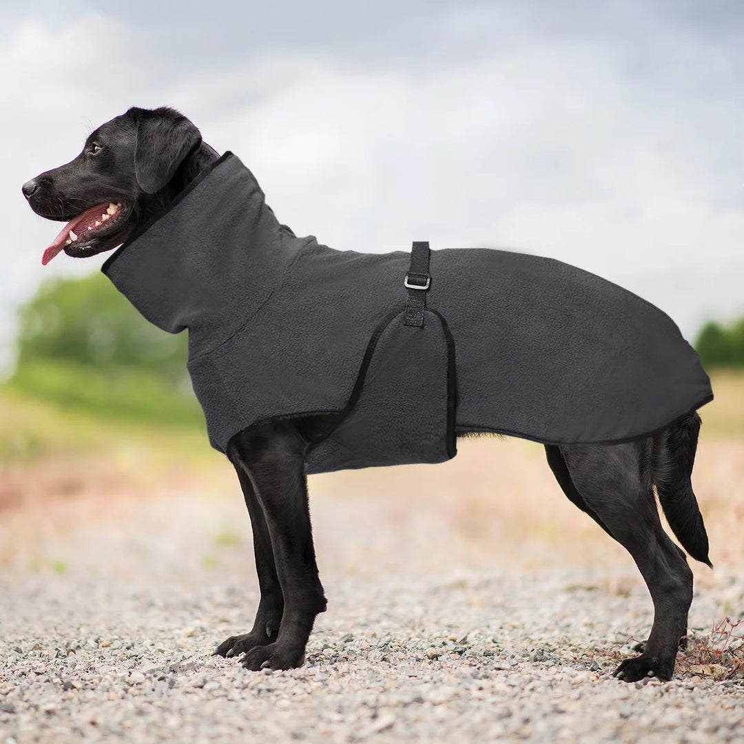 Cozy Thermal Dog Coat 6