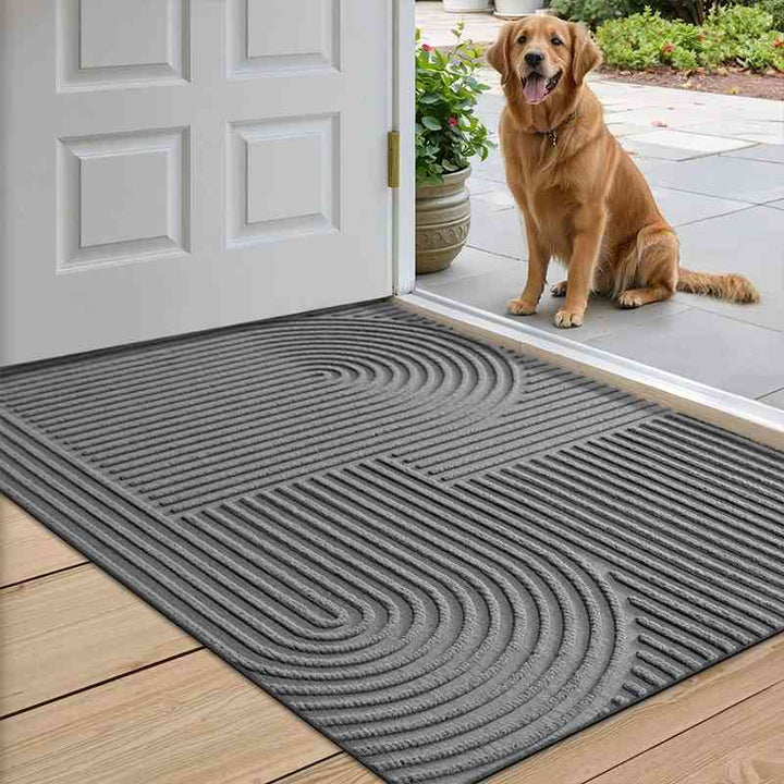 Cozy Water-Absorbent Doormat 1