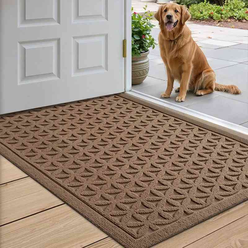 Cozy Water-Absorbent Doormat 3