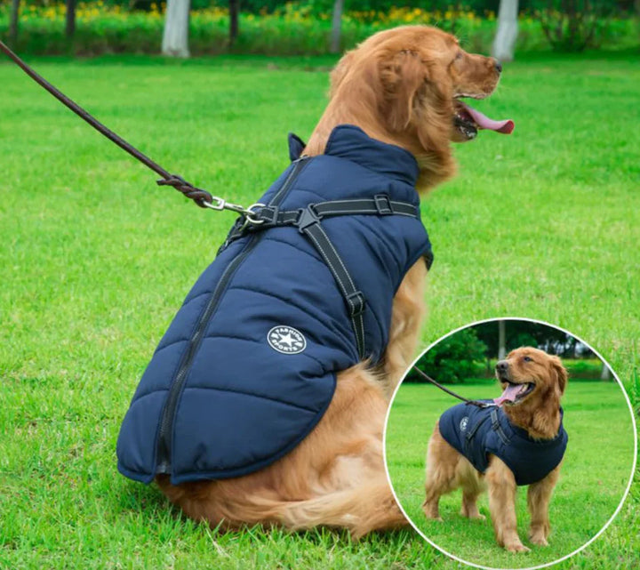 Cozy Waterproof Dog Coat 1