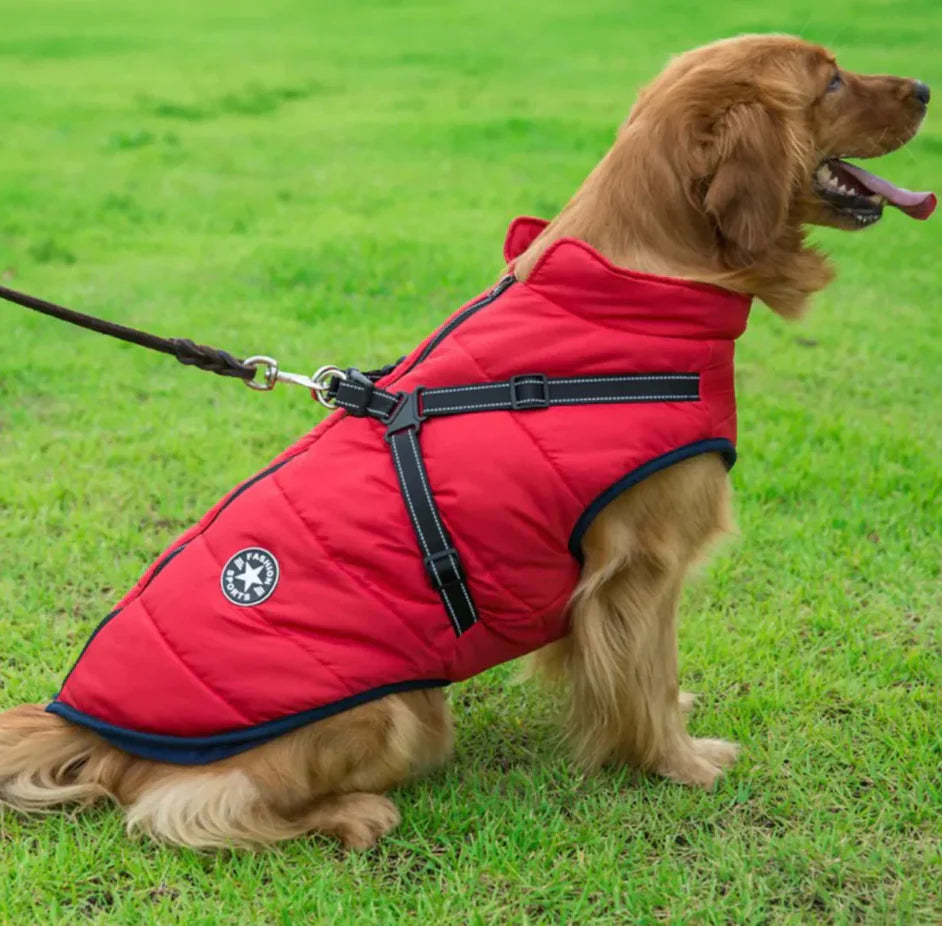 Cozy Waterproof Dog Coat 3