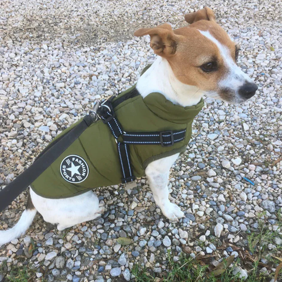 Cozy Waterproof Dog Coat 5