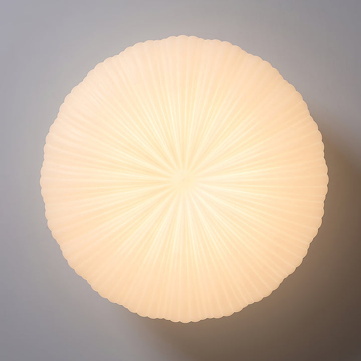 Scallop Shell Flush Mount Light installed on ceiling