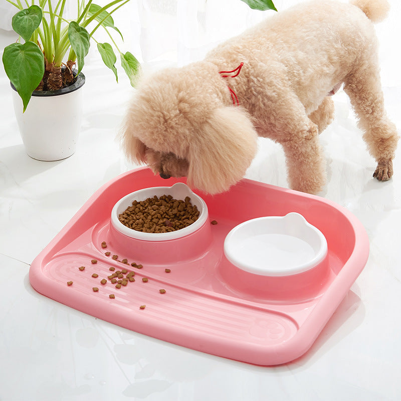 Eco-Friendly Dual Pet Bowl 8