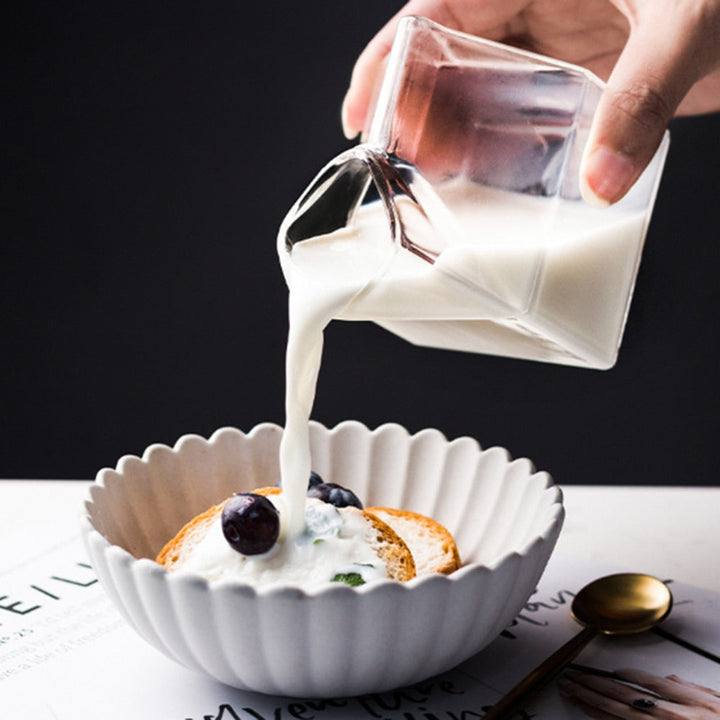 Elegant Borosilicate Glass Jug 2