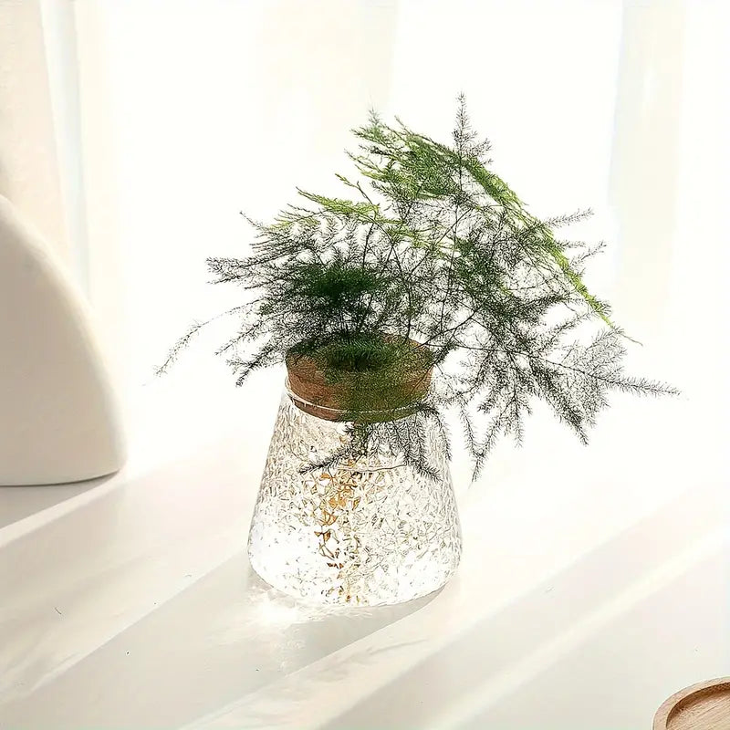 Elegant Glass Plant Propagator 4