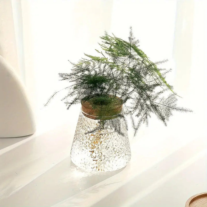 Elegant Glass Plant Propagator 4