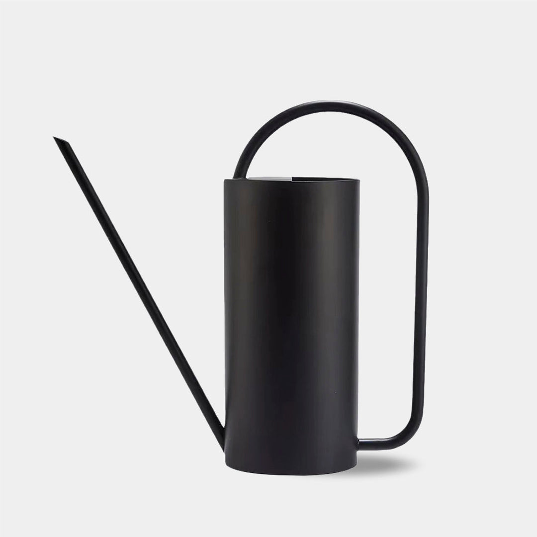 Elegant Metal Indoor Watering Can 0