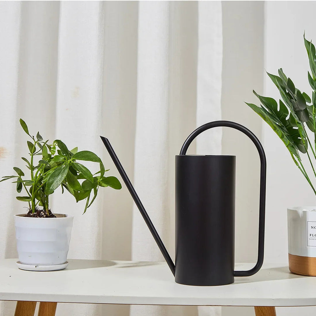 Elegant Metal Indoor Watering Can 1