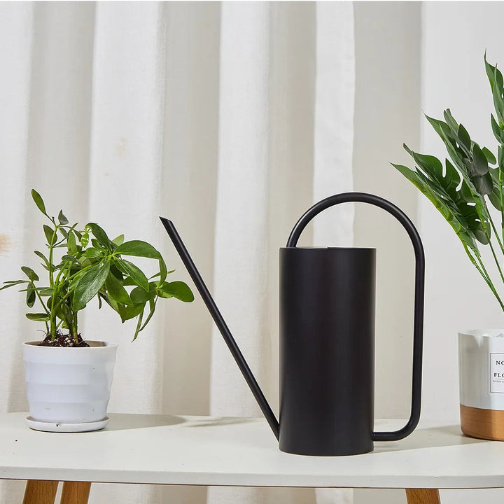 Elegant Metal Indoor Watering Can 1