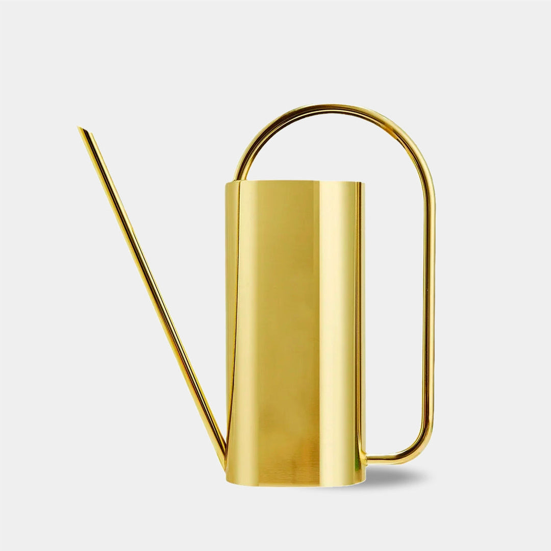 Elegant Metal Indoor Watering Can 10