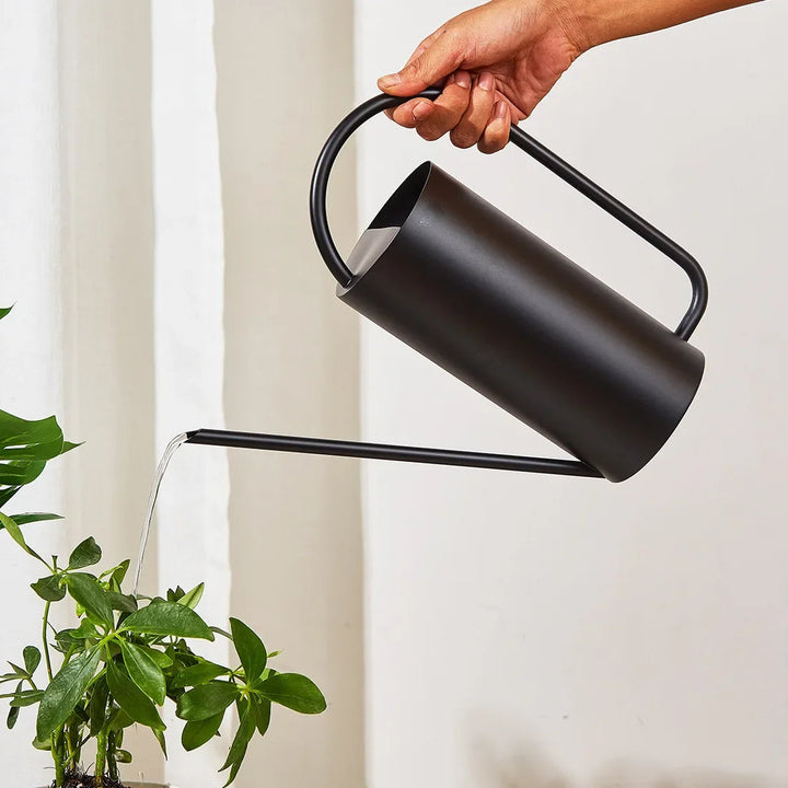 Elegant Metal Indoor Watering Can 2