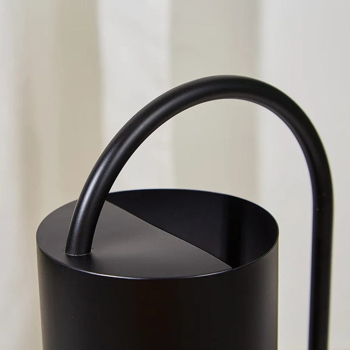 Elegant Metal Indoor Watering Can 3