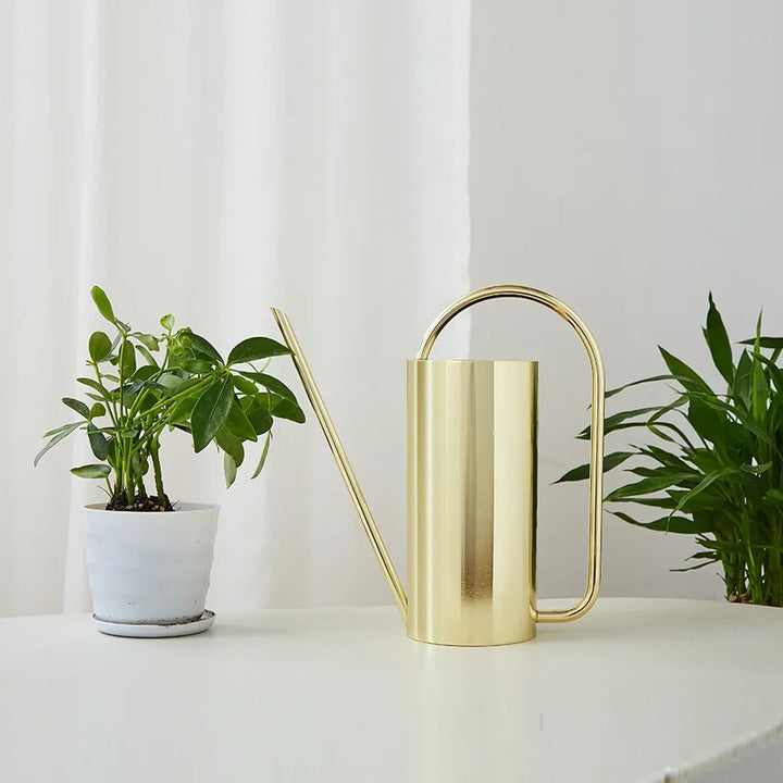 Elegant Metal Indoor Watering Can 5