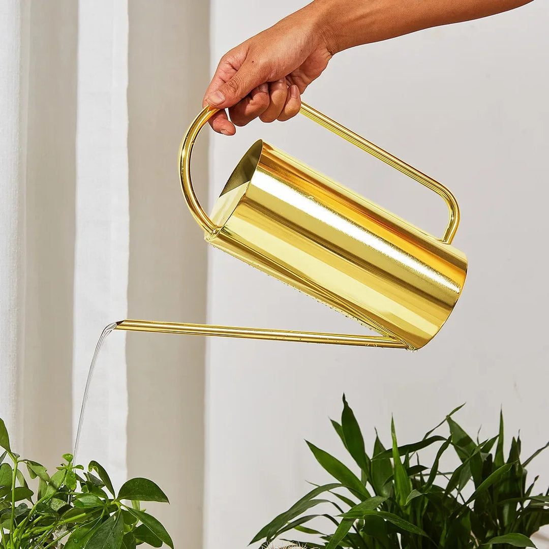 Elegant Metal Indoor Watering Can 6