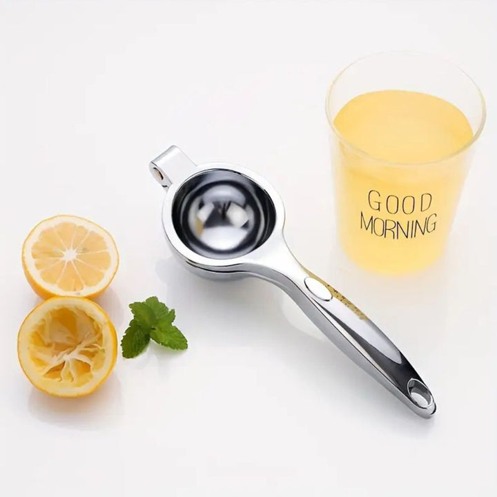 Elegant Stainless Steel Juicer 1