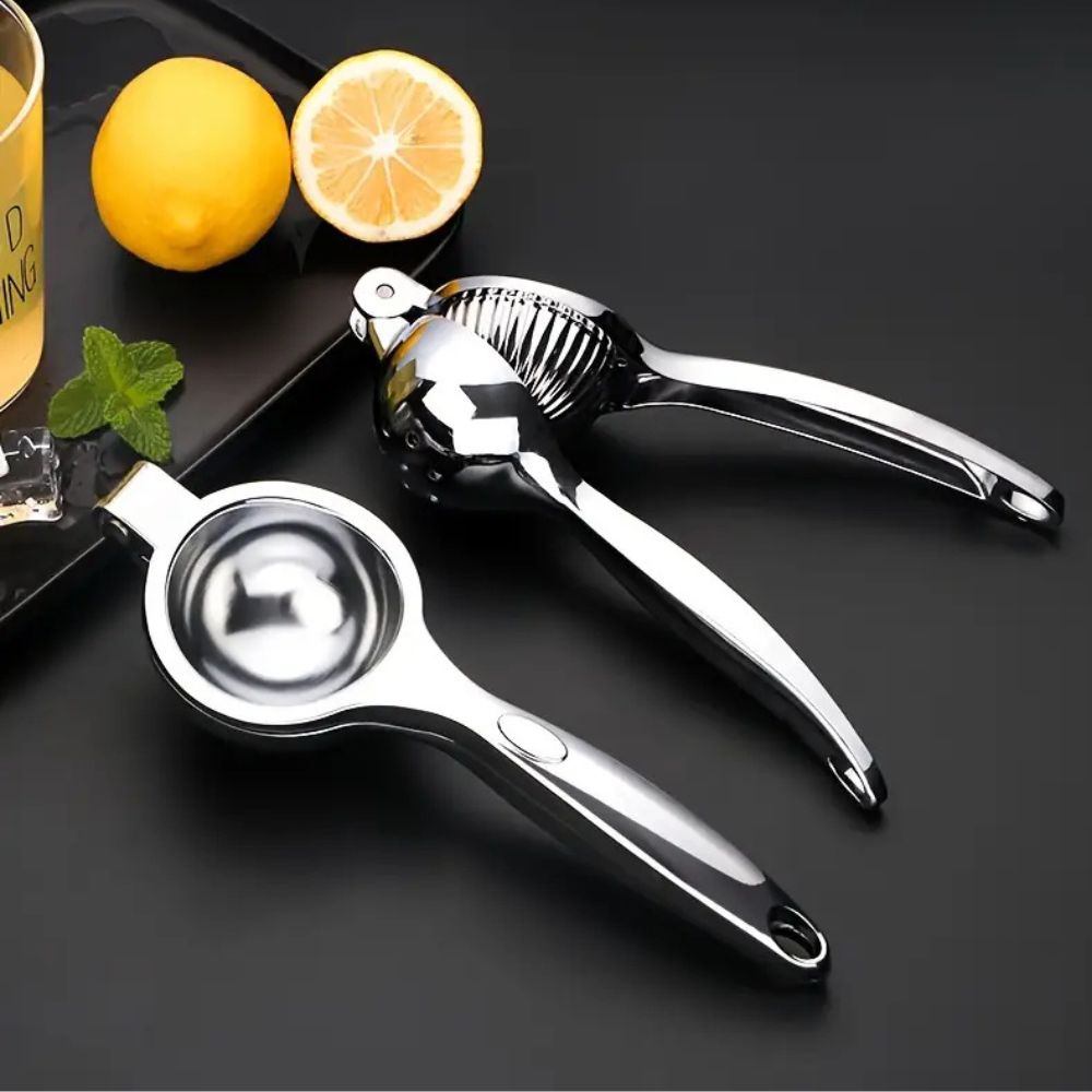 Elegant Stainless Steel Juicer 2