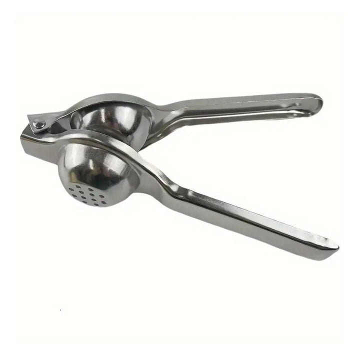 Elegant Stainless Steel Juicer 3