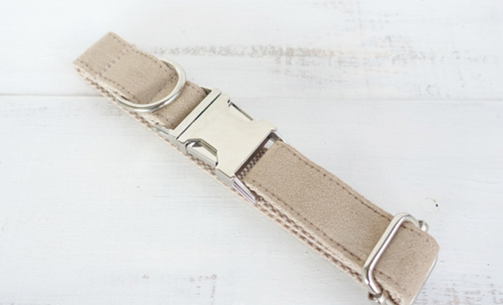 Elegant Velvet Dog Collar 5