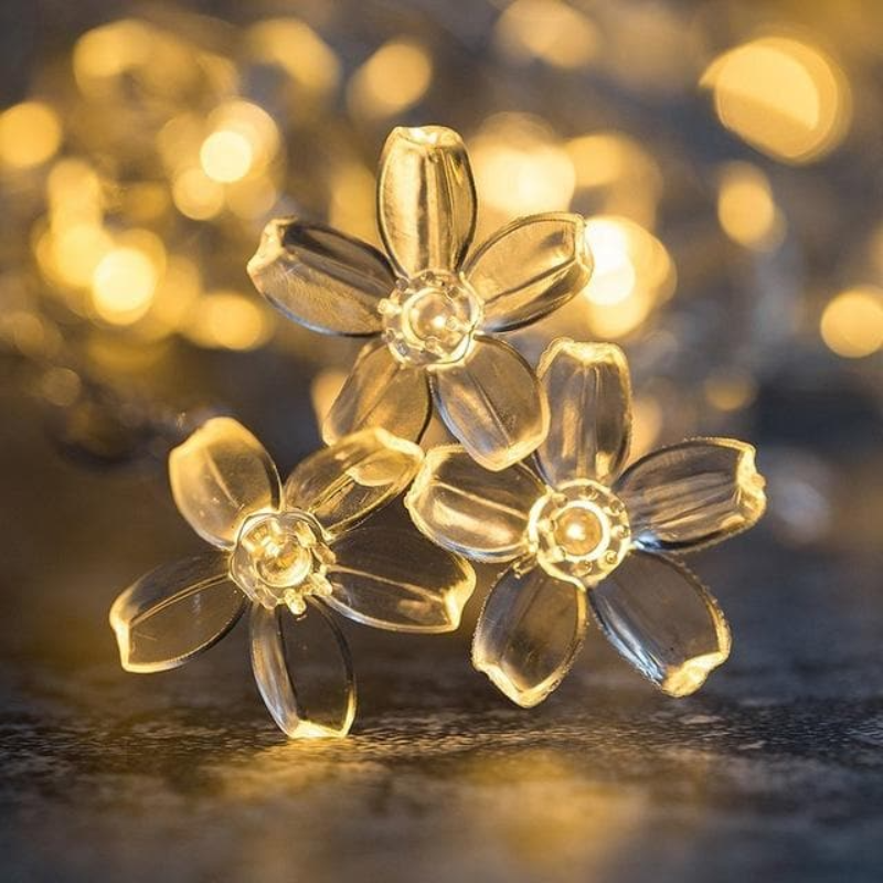 Enchanting LED Fairy Lights 0