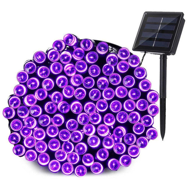 Enchanting Solar String Lights 9