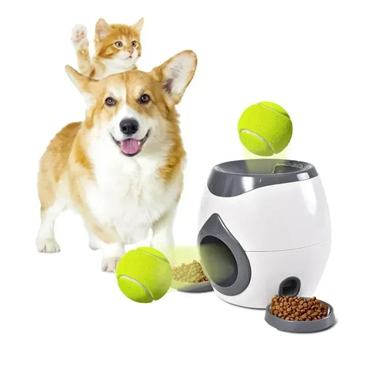 Engaging Interactive Pet Toy 1