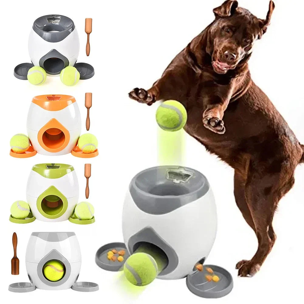 Engaging Interactive Pet Toy 2
