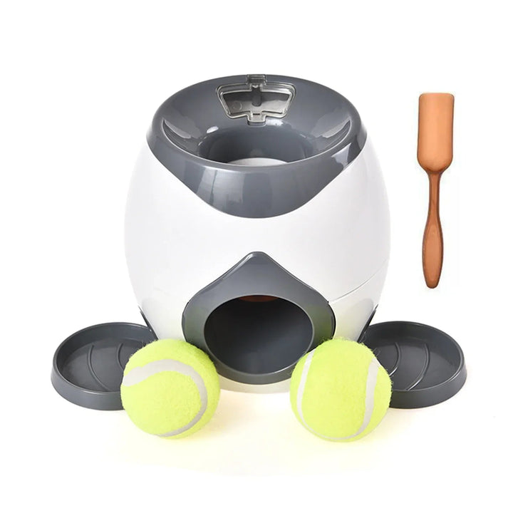Engaging Interactive Pet Toy 4