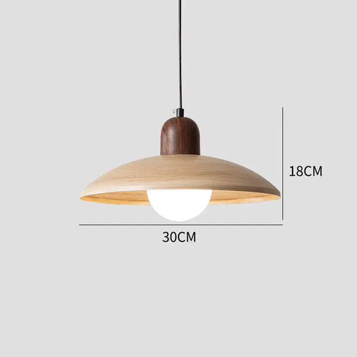 Japanese Wabi-Sabi Walnut Pendant Light: Minimalist Iron Design for Serene Spaces