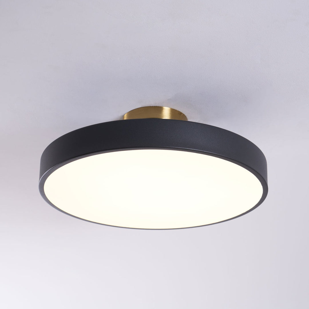 Minimalist Flush Mount Ceiling Light 0