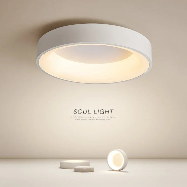Minimalist Round Flush Mount Ceiling Light 2
