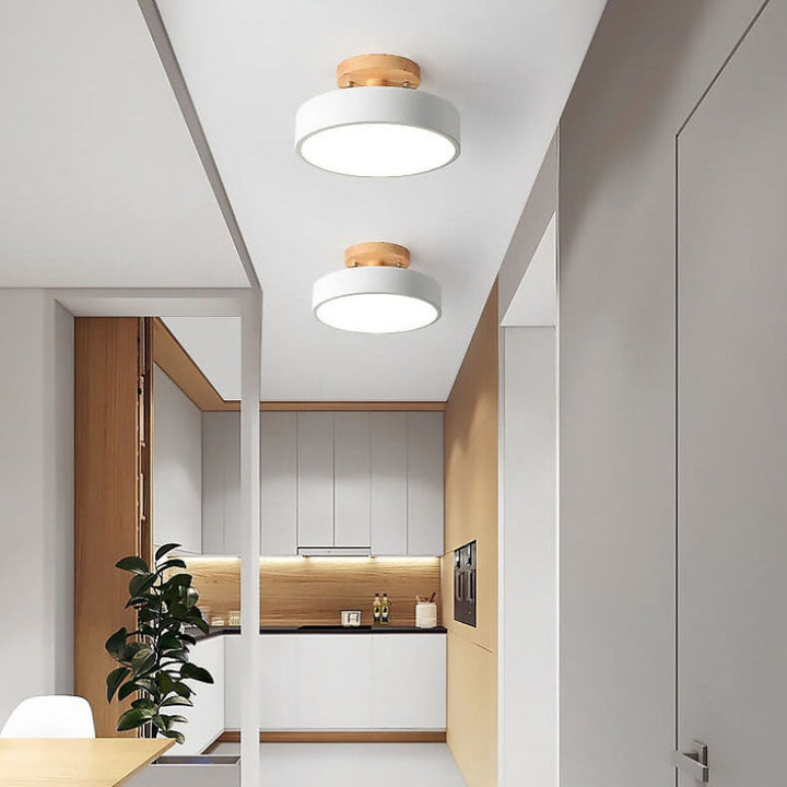 Modern Flush Mount Ceiling Light 0