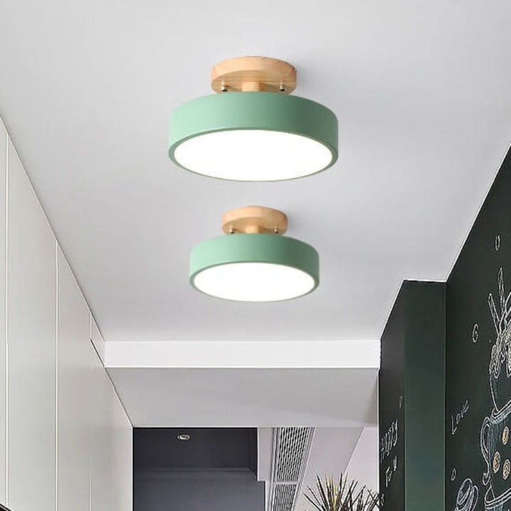 Modern Flush Mount Ceiling Light 1
