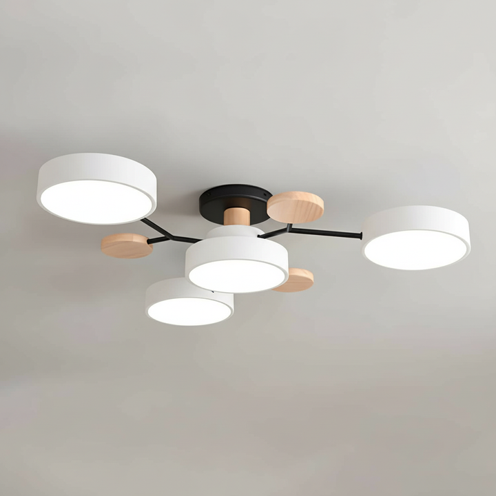Modern Flush Mount Ceiling Light 11