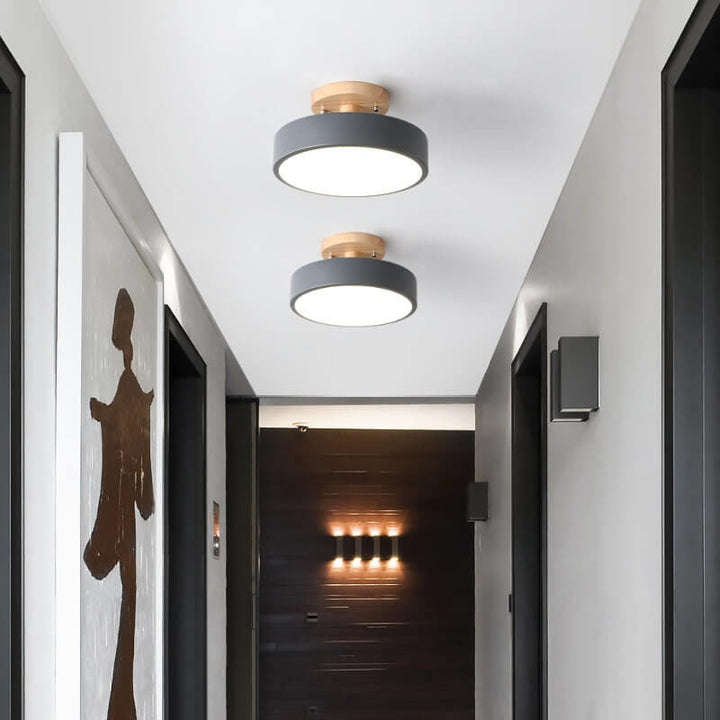 Modern Flush Mount Ceiling Light 4