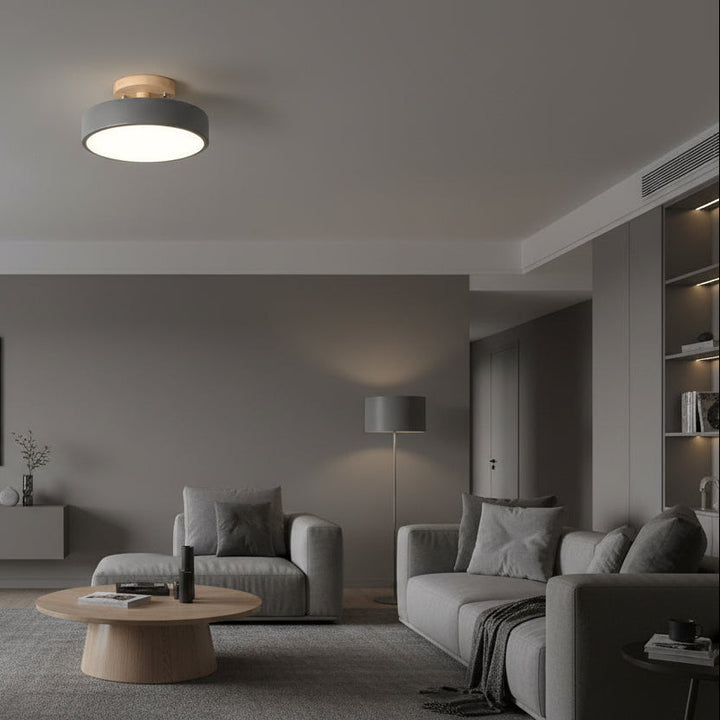 Modern Flush Mount Ceiling Light 5