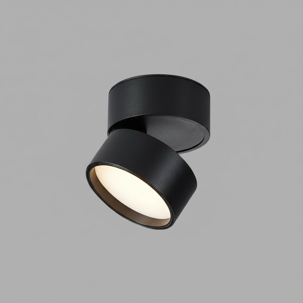 Modern LED Ceiling Light Fixture 0