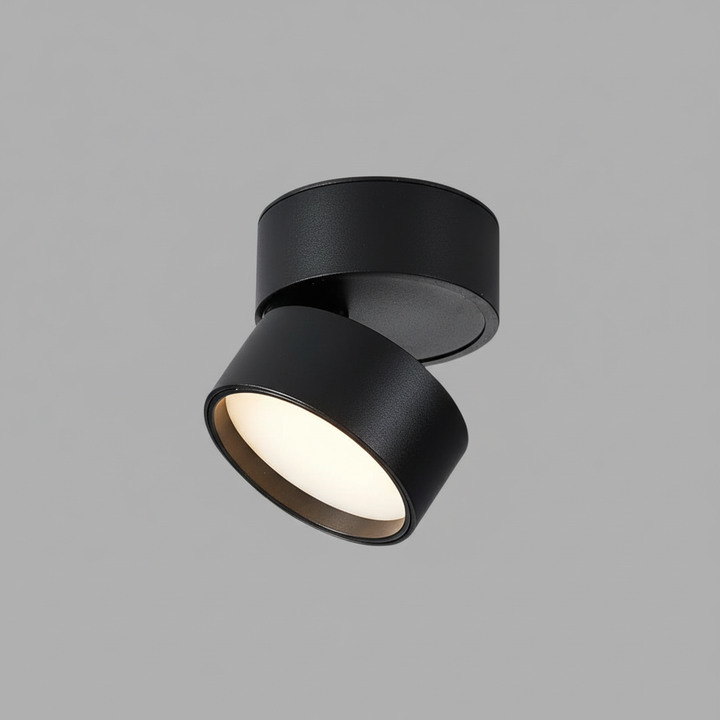 Modern LED Ceiling Light Fixture 0