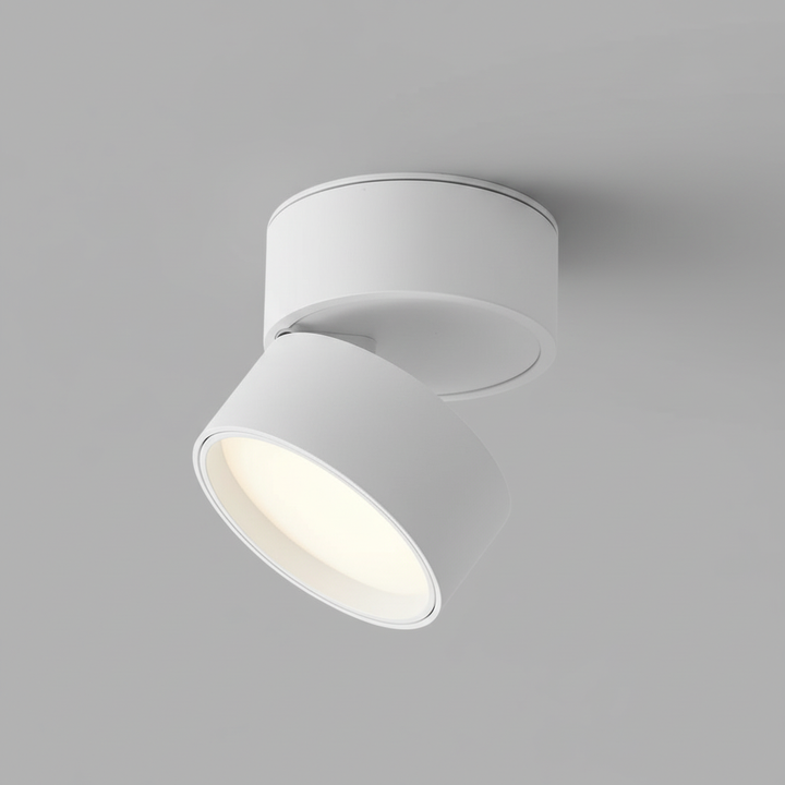Modern LED Ceiling Light Fixture 1