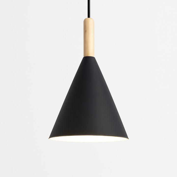 Modern Metal Pendant Light 0