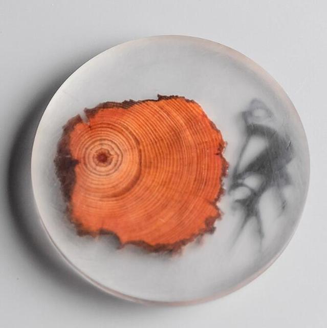 Round Pine Resin Drink Coaster front view
