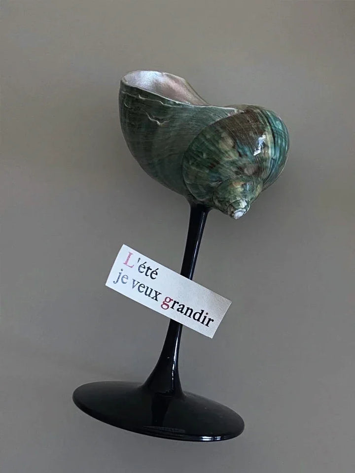 Natural Shell Wine Glass 10