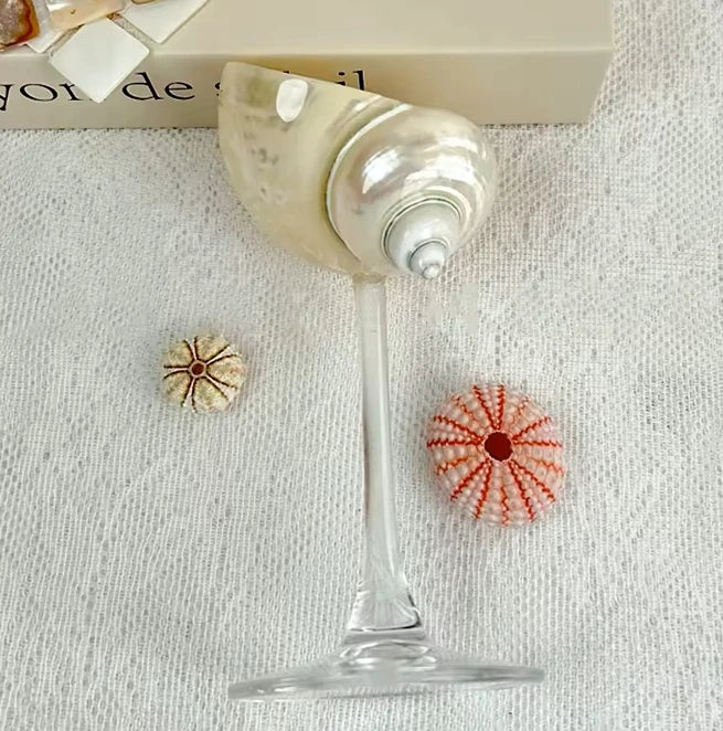 Natural Shell Wine Glass 6