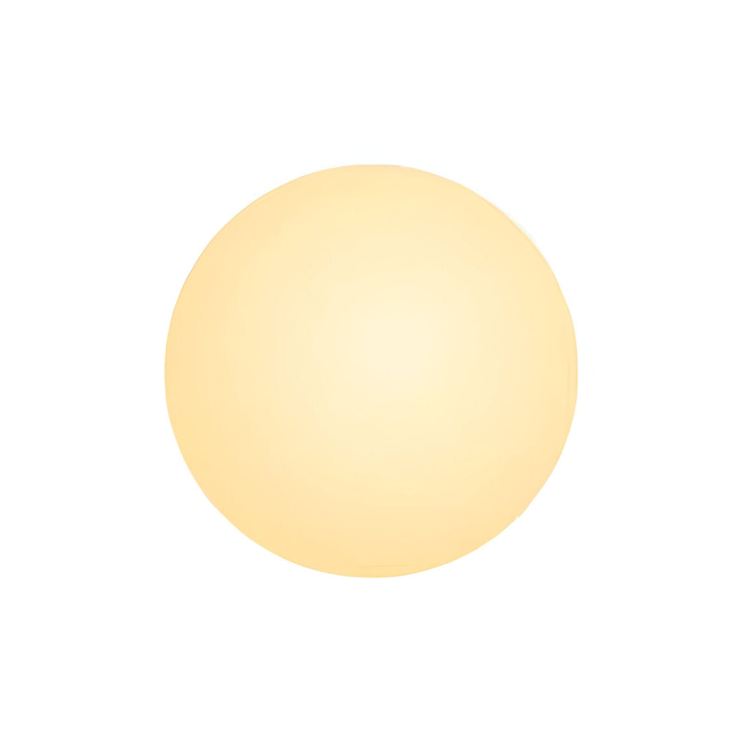 Dioscuri Modern Minimalist Round Frosted Glass LED Wall Sconce Light Fixture