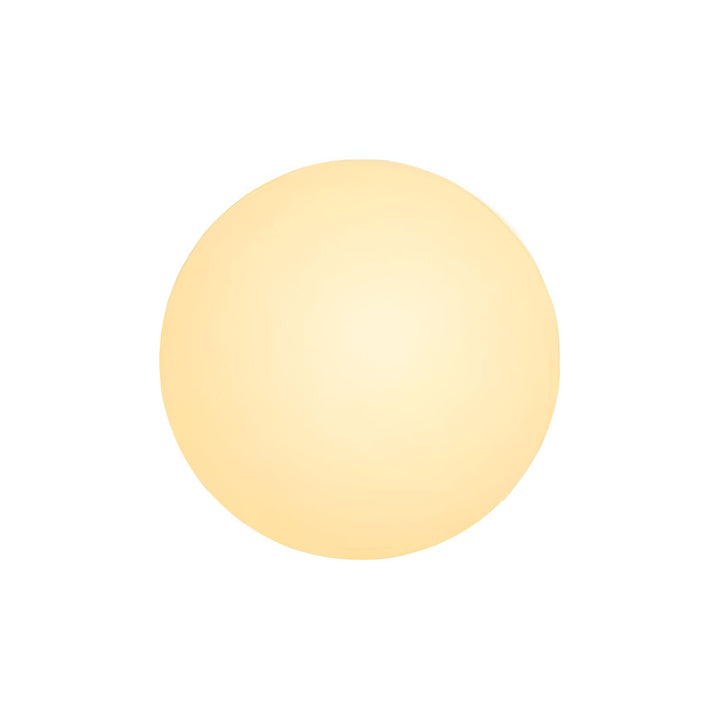 Dioscuri Modern Minimalist Round Frosted Glass LED Wall Sconce Light Fixture