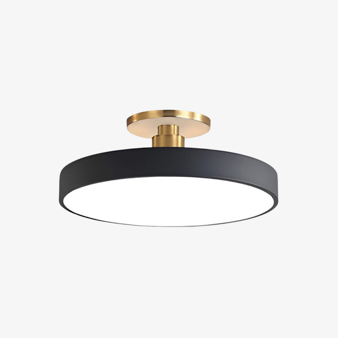 Modern Round LED Flush Mount Ceiling Light with Dimmable Options and Metallic Accent