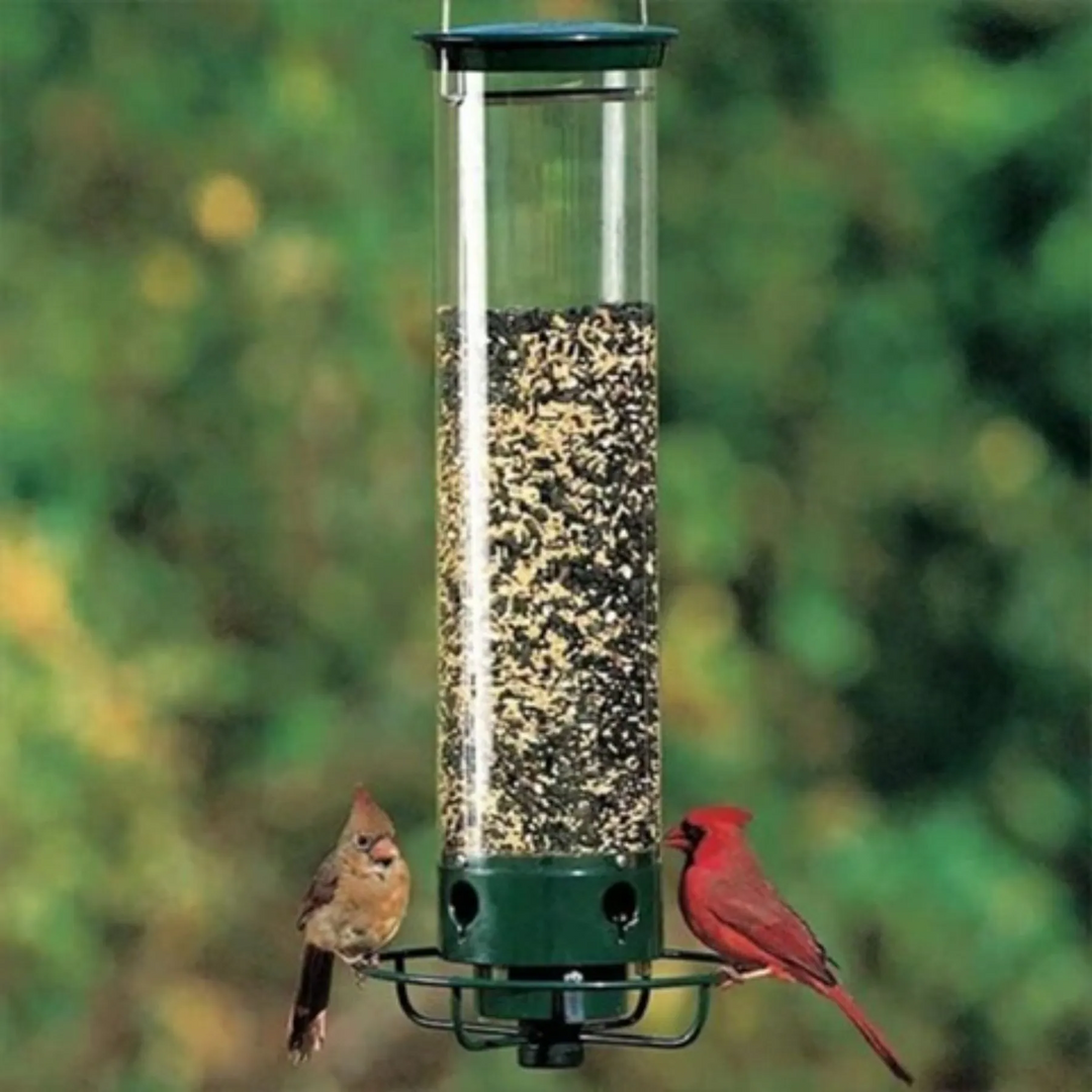 Playful Squirrel-Proof Bird Feeder 1