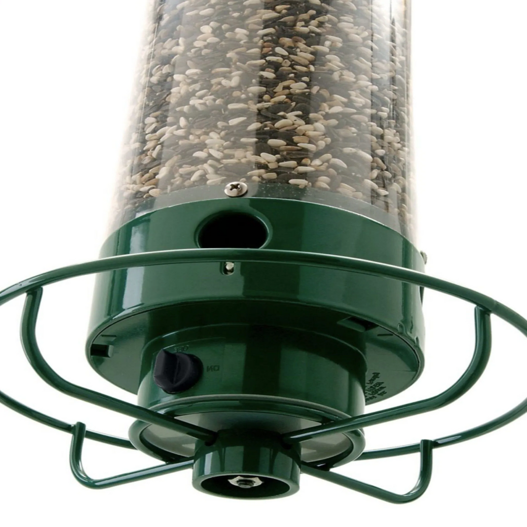 Playful Squirrel-Proof Bird Feeder 3